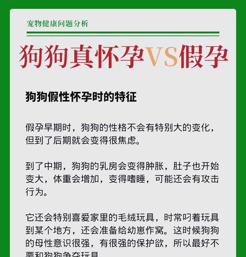 狗狗生完什么时候可以怀孕？（探讨狗狗生育间隔时间及影响因素）