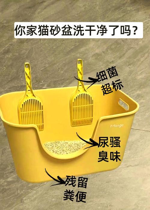 探秘猫厕所的奇妙世界（猫厕所）