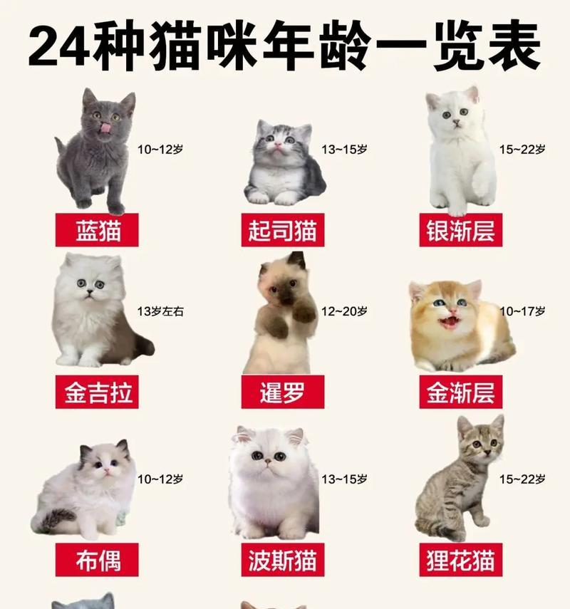 猫的排便频率与健康