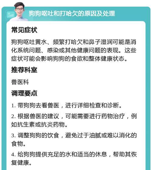 狗狗呕吐黄水的原因及处理措施（盘点狗狗呕吐的常见原因和相应的处理方法）