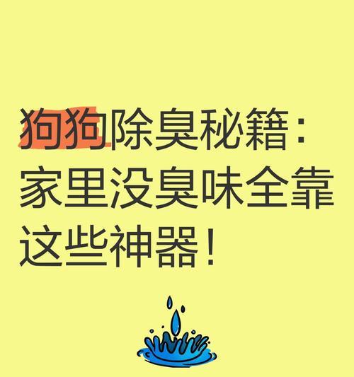 消除狗窝臭味的有效方法（试一试这几种办法，让狗窝恢复清新环境）