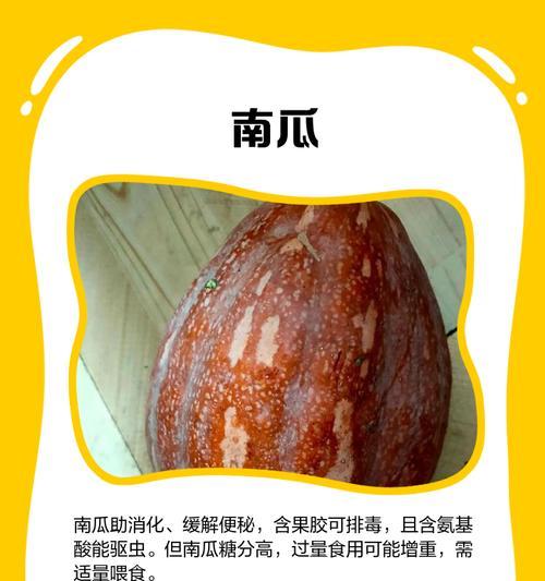 三个月金毛宝宝可食用的水果有哪些？（探索适合三个月金毛宝宝的水果饮食，提供营养与健康）