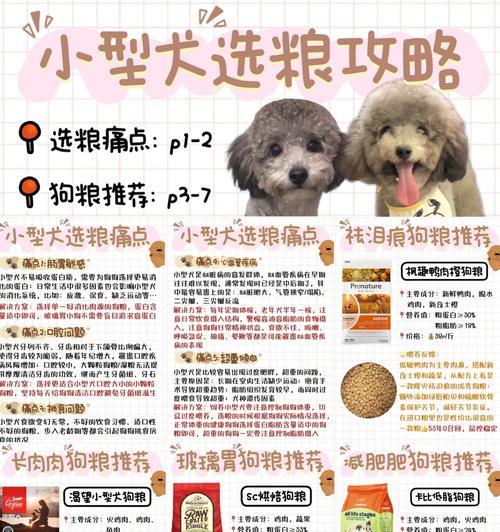 泰迪犬的饲养与照顾指南（探索如何正确照顾泰迪犬，让它们健康快乐）