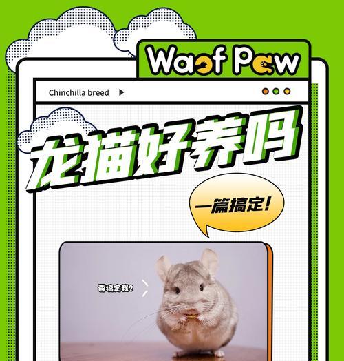 龙猫怀孕周期及产子过程解析（龙猫的怀孕时间、分娩过程和幼崽护理）