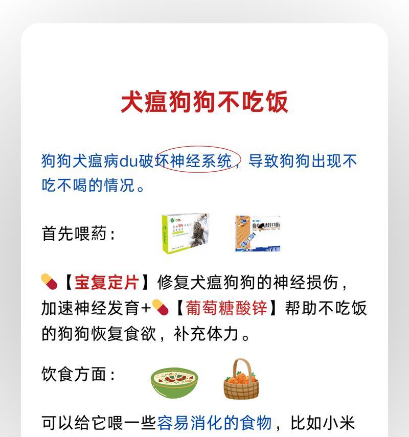如何预防狗狗患上犬瘟热（关爱宠物健康，守护狗狗免疫）
