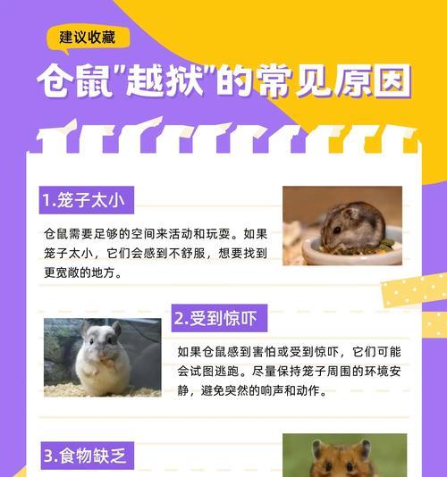 探秘仓鼠的假死行为（仓鼠为何会假死？如何识别假死行为？）