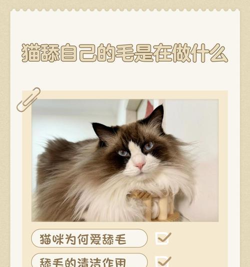 猫为什么会掉很多毛？（探究猫掉毛的原因及解决办法）