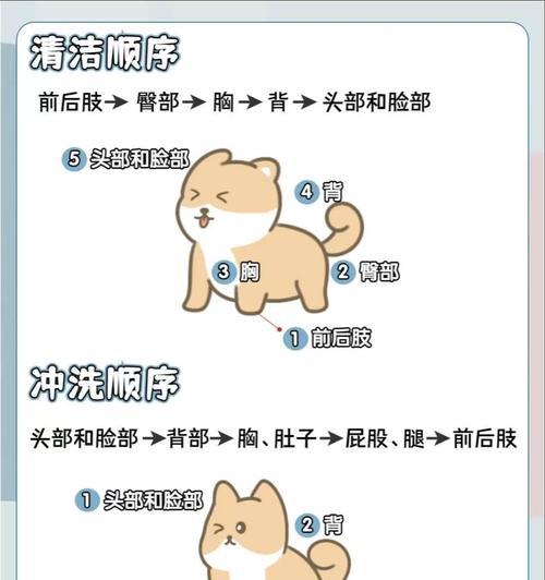 合适的频率是多久给狗狗洗一次澡？（探究狗狗洗澡的最佳频率）