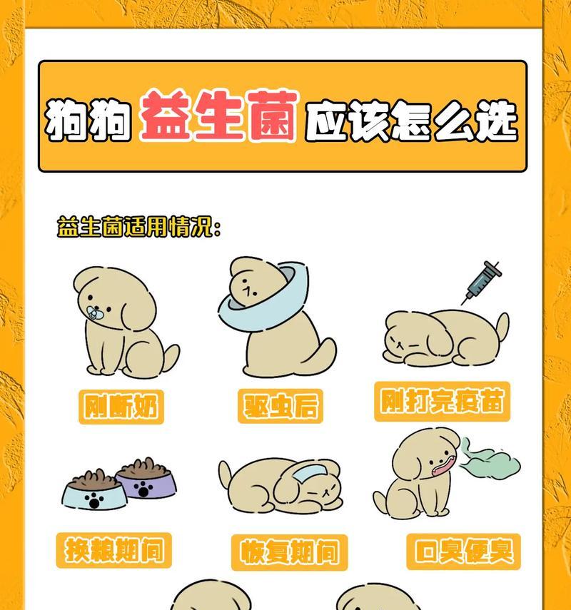 狗狗益生菌（了解狗狗益生菌的作用和使用方法，以及它们对狗狗的健康的影响。）