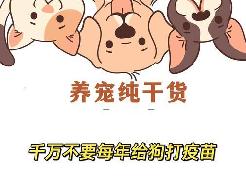 小狗疫苗有效期有多久？（探究小狗接种疫苗后的保护时间）