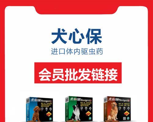 狗吃完犬心保多久才能吃饭？（了解适宜间隔时间以及饲养注意事项）