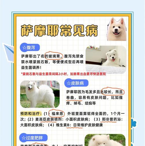 萨摩耶养育之道——从小毛球到大狗狗（以萨摩耶为例，探讨萨摩耶成长的时间、特点和护理要点）