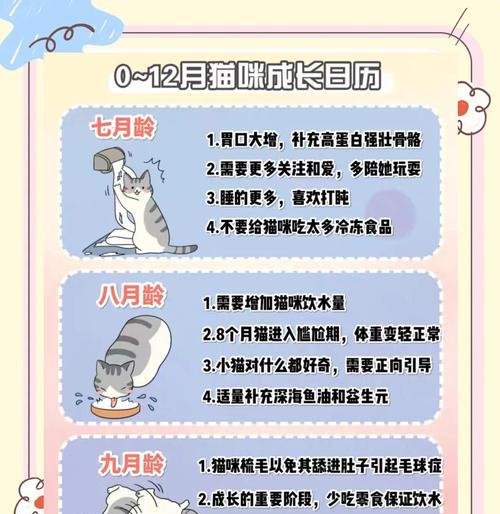 3个月幼猫的饲养指南（健康成长的关键与注意事项）