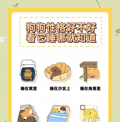 狗狗睡觉前常见症状解析（了解狗狗睡觉前的表现，关爱它的健康）