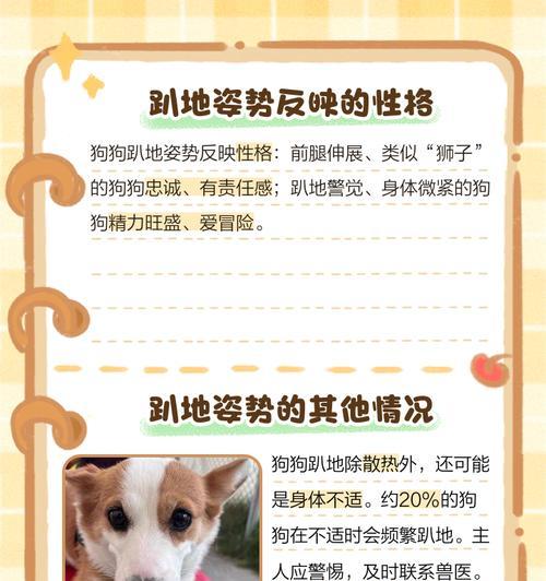 揭秘德国牧羊犬趴蹄之谜（了解趴蹄原因，提前预防）