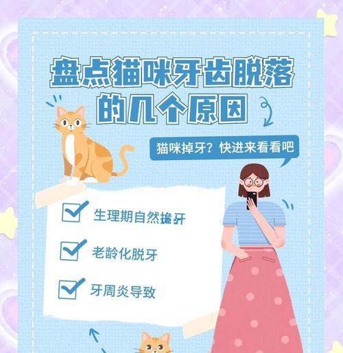 小猫长牙的过程及注意事项（了解小猫长牙的时间和注意事项，让它们健康成长）