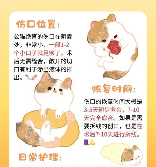 猫的拆线愈合时间及注意事项（猫咪伤口愈合需要多长时间？如何做好伤口护理？）