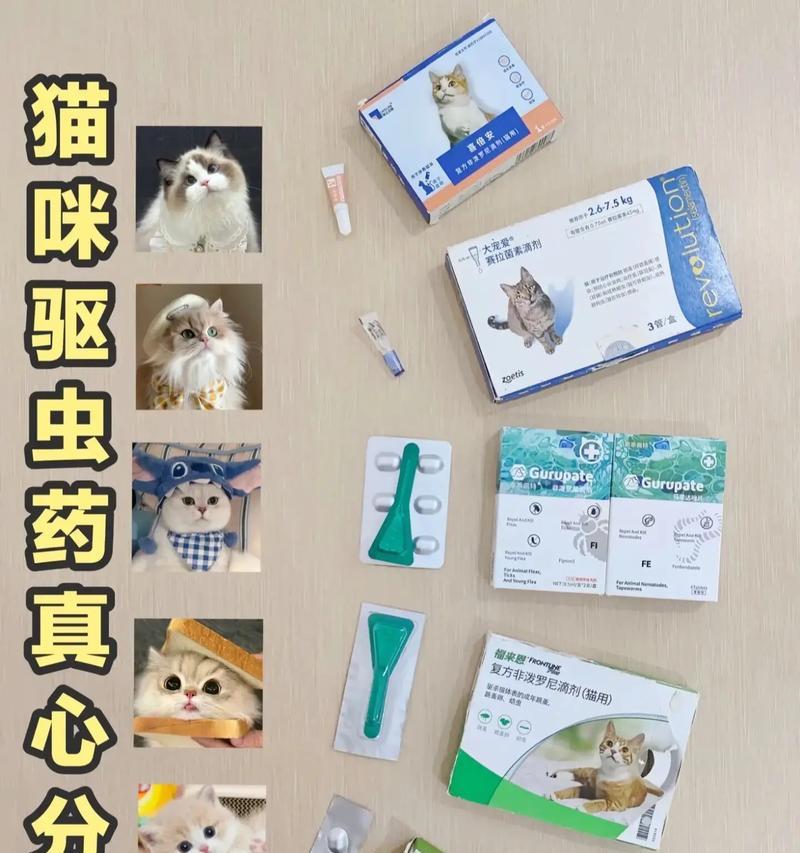 小猫驱虫的时间和方法（科学养猫必备，小猫驱虫的重要性及注意事项）