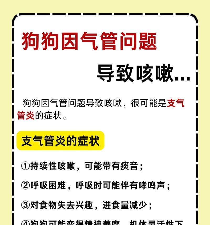狗得支气管炎的症状及预防措施（了解狗得支气管炎的症状和预防方式，让宠物健康无忧）