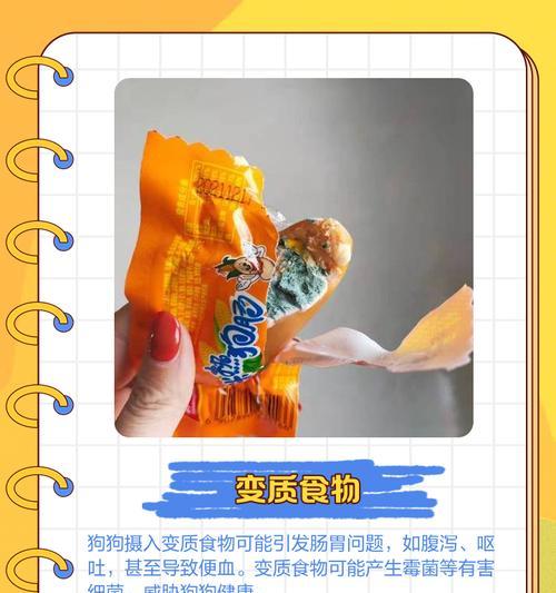 金毛不能吃的食物与注意事项（了解金毛不能吃的食物，保障宠物健康）