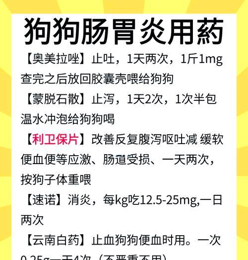 狗狗肠炎（了解肠炎恢复时间的关键因素及护理建议）
