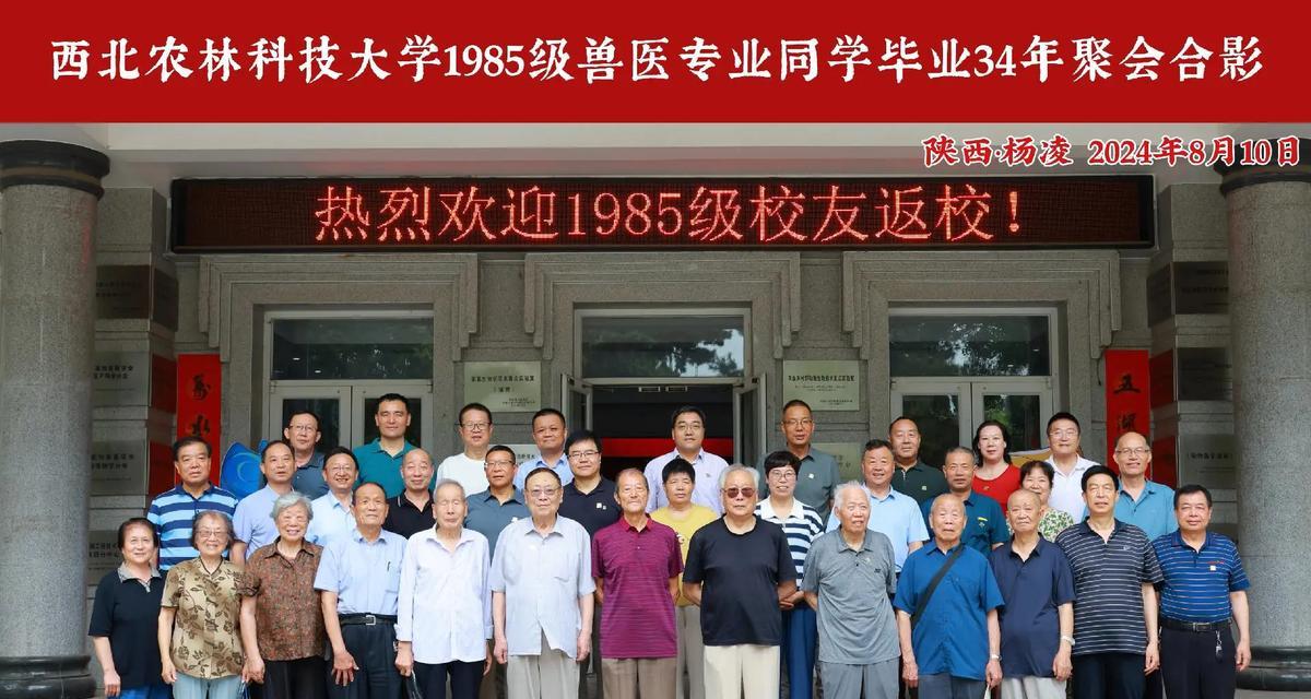 探索现代兽医院的医疗技术与服务（了解兽医院的发展历程和独特之处）