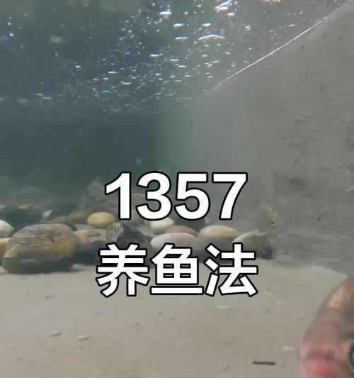 鱼儿成长的秘诀（培养快速成长的鱼儿，关键在于以下小技巧）