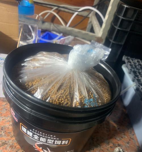 自制鱼食vs购买鱼饲料（饲养观赏鱼的饲料选择与成本分析）