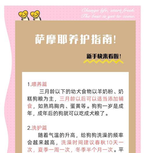 萨摩耶毛发保养秘籍（掌握三个小诀窍，让你的萨摩耶毛发白皙蓬松如云）