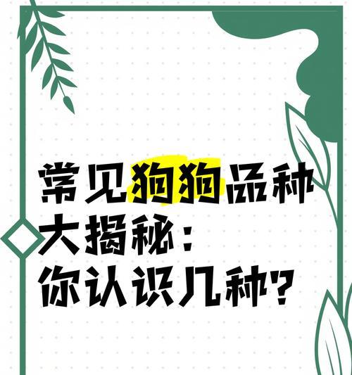 夏日里不怕炎热的狗狗品种（这些狗狗无惧高温，带你度过炎炎夏日）