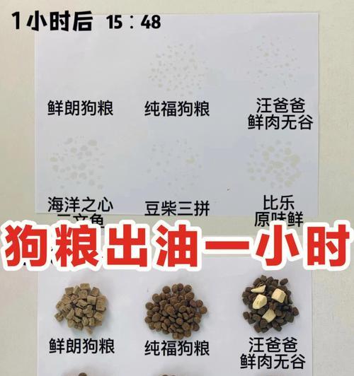 狗狗粮泡浸多久才合适？（探究狗狗粮浸泡时间的最佳选择）