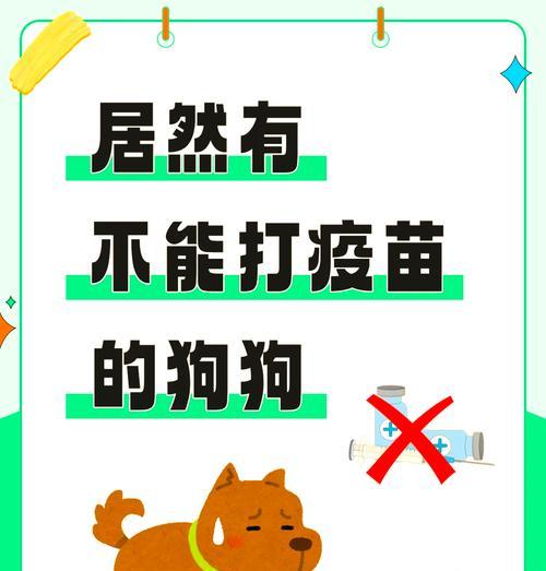 狗狗回家后打疫苗的重要性（疫苗接种时间安排及保护措施）