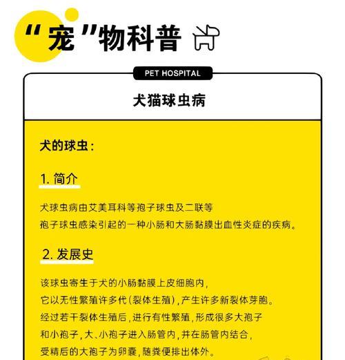 狗狗传染给人的疾病及其可怕性（了解各种疾病的传染性和症状，保护人与宠物的健康）