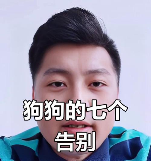 狗狗临终前的反应（观察狗狗临终时的变化，了解其内心需求与情感表达）