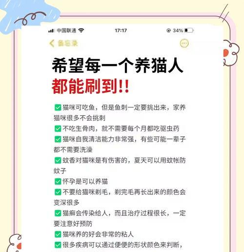 如何妥善照顾幼猫？（铲屎官掌握好这6点就不用害怕）
