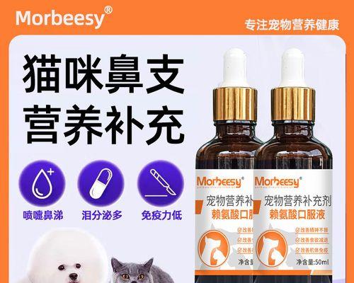 揭秘猫感冒流鼻涕的真相（探究猫鼻支是否与猫感冒有关）