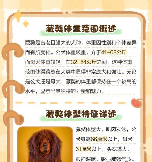 神坛上的藏獒（真实战力与其他野生动物相比如何？）
