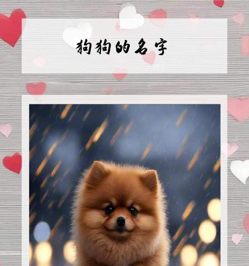 《狗狗名字大全》（选择狗狗名字的技巧与灵感）
