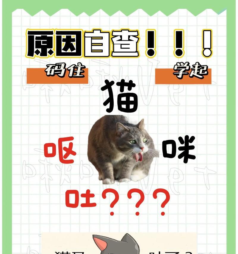 猫咪吐毛球的原因与解决方法（猫咪吐毛球对健康有害，正确的护理能够帮助解决）