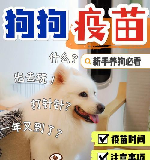 小狗疫苗接种指南（45天后才能开始接种，为什么？）