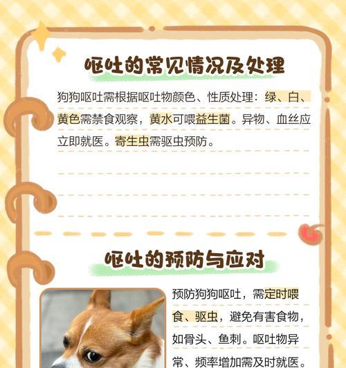 狗狗呕吐了，要禁食多久？（了解狗狗呕吐的原因和正确的禁食时长，保护它们的健康。）