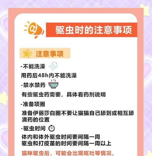 猫体内驱虫后多久见效（揭秘猫咪驱虫效果时长的关键因素）