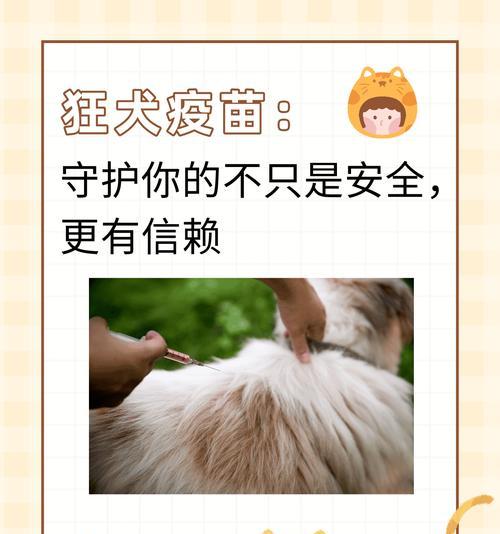 探索国产犬疫苗的种类与优势（解读国产犬疫苗的多样性和临床应用前景）