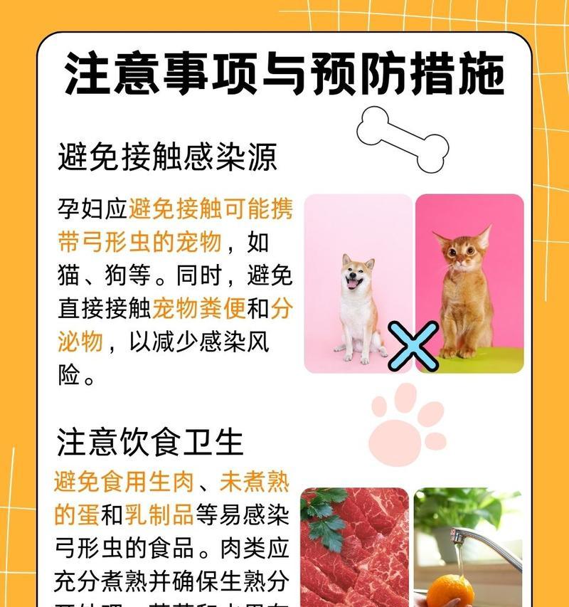 弓形虫狗狗（了解弓形虫狗狗，守护宠物健康）