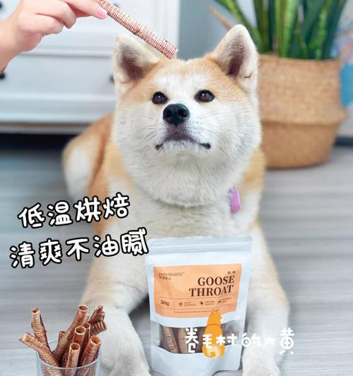 营养美味的狗狗零食推荐（满足狗狗味蕾的6种经济实惠的零食）