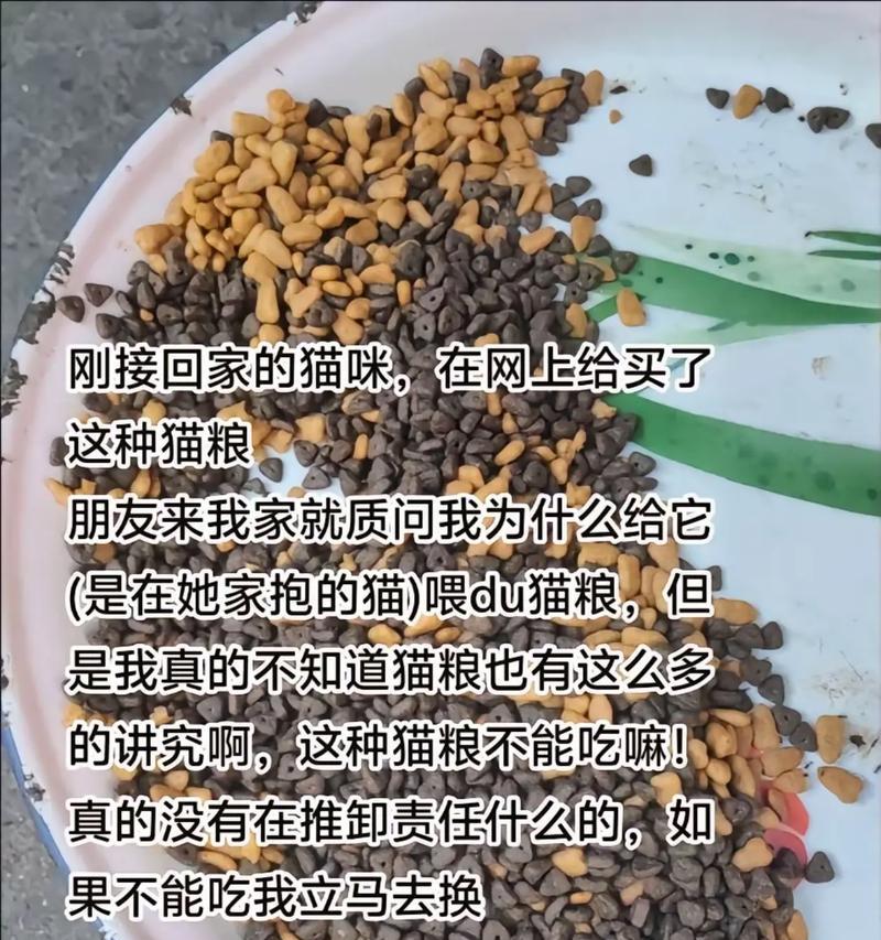 猫粮换食的适应期有多久？（了解猫咪换粮的适应时间及关键因素）