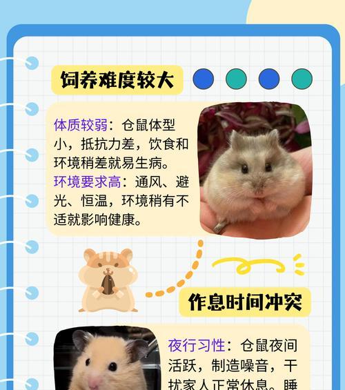 小仓鼠的成长周期及养殖技巧（了解小仓鼠的成长周期，养殖更得心应手）