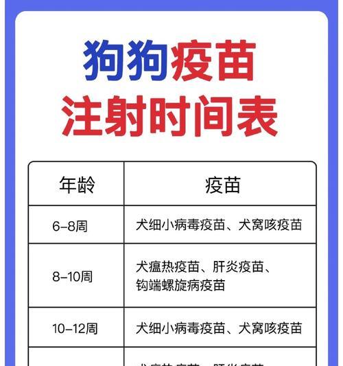 狗狗疫苗知多少？牌子揭秘（不同品牌疫苗的特点及适用范围）