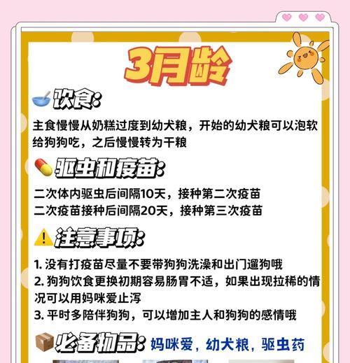 养一只比熊犬的花销有多少？（分析比熊犬饲养的费用及相关方面的花销）