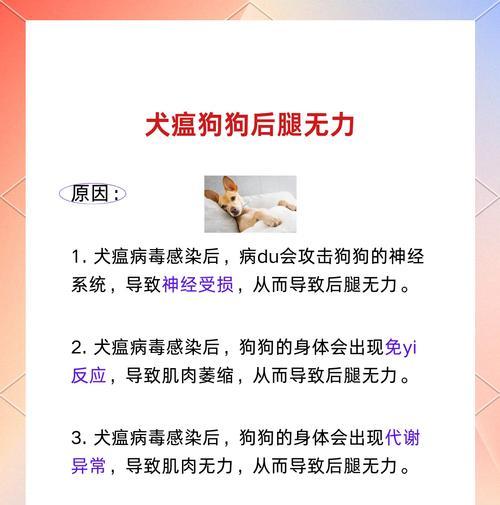 狗瘟后遗症（狗瘟后遗症的常见表现及预防措施）